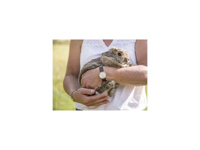 Apartment 5-Personenwohnung - Outdoor photo 34