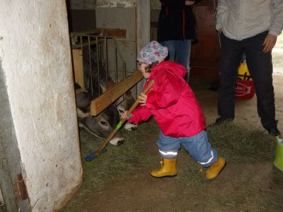 Apartment 5-Personenwohnung - Outdoor photo 37