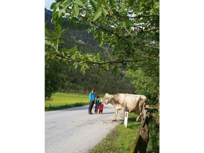 Apartment 5-Personenwohnung - Outdoor photo 38