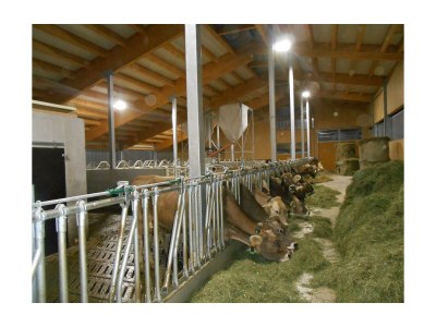 Apartment 5-Personenwohnung - Outdoor photo 48