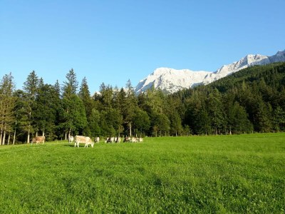 Apartment 5-Personenwohnung - Outdoor photo 49