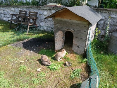 Apartment 5-Personenwohnung - Outdoor photo 51