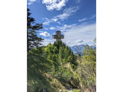 Apartment Ferienwohnung "Bergzauber" - Outdoor photo 8