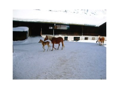 Apartment Merryshof - Outdoor photo 21