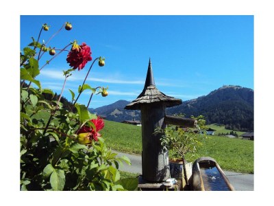 Apartment 2-5 Personenwohnung - Kitzbühler Horn - Outdoor photo 9