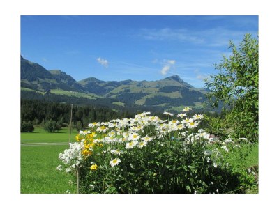 Apartment 2-5 Personenwohnung - Kitzbühler Horn - Outdoor photo 14