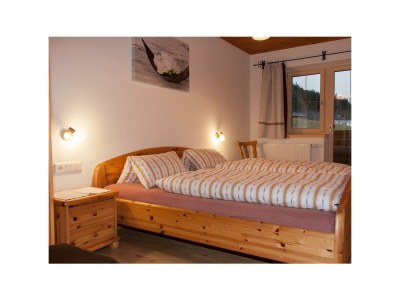 Apartment 2-5 Personenwohnung - Kitzbühler Horn - Features photo 28