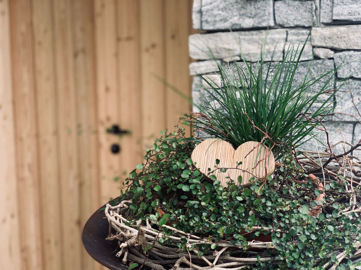 Apartment Appartement/Fewo, Dusche, WC, 1 Schlafraum - Outdoor photo 3