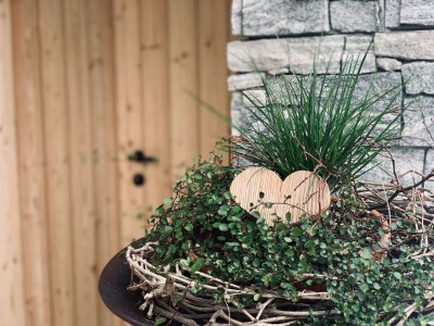 Apartment Appartement/Fewo, Dusche, WC, 1 Schlafraum - Outdoor photo 3