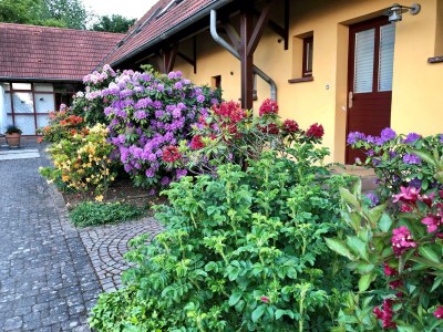 Apartment Ferienhaus, Bad, WC, Nichtraucher - Outdoor photo 6