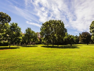 B&B Palazzo Barbò - Environment photo 18