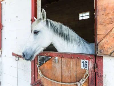 B&B Palazzo Barbò - Environment photo 21