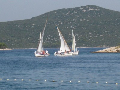 Apartment Apartments Paula - One Bedroom Apartment with Terrace 1 - Outdoor photo 25