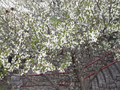 Apartment Apartments Rudi - One Bedroom Apartmen with Terrace and Sea View - Outdoor photo 2