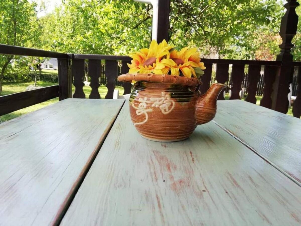 Holiday house Holiday Home Tetina Kuća - Outdoor photo 4