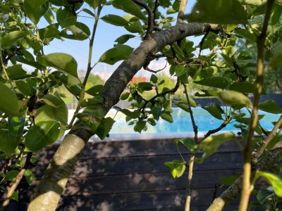 Holiday house Holiday Home Tetina Kuća - Outdoor photo 7