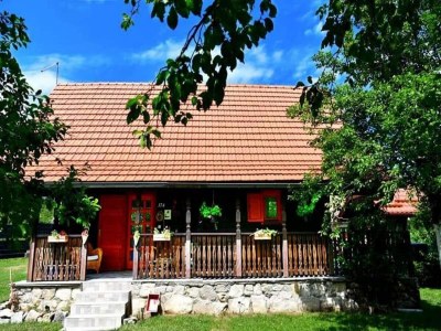 Holiday house Holiday Home Tetina Kuća - Outdoor photo 8