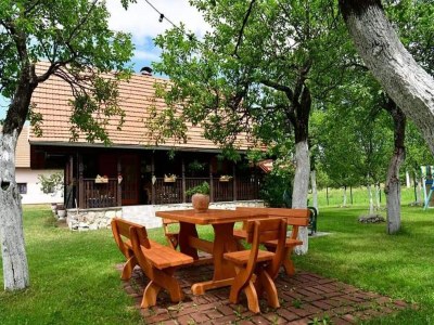 Holiday house Holiday Home Tetina Kuća - Outdoor photo 11