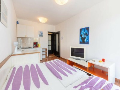 Apartment Apartments Ilija Njavro - Studio Apartment with Balcony - Features photo 11