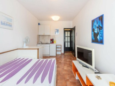 Apartment Apartments Ilija Njavro - Studio Apartment with Balcony - Features photo 14