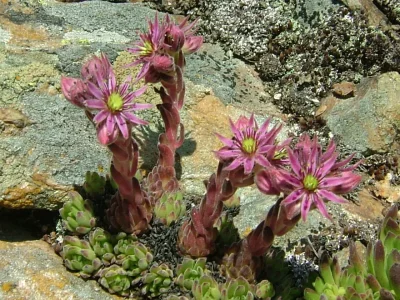 Apartment Schwarzlehen - Juval - Environment photo 19