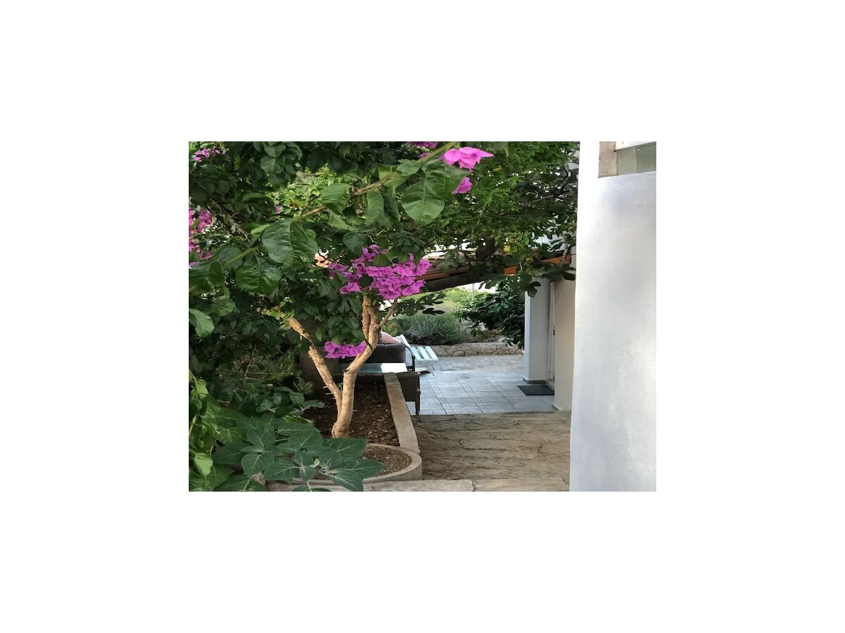 Holiday house Seafront House Antonia - Outdoor photo 3