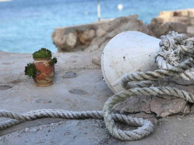 Holiday house Seafront House Antonia - Outdoor photo 17