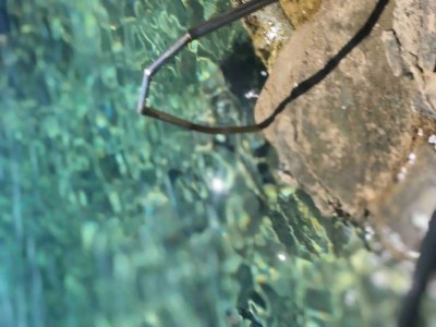 Holiday house Seafront House Antonia - Outdoor photo 27