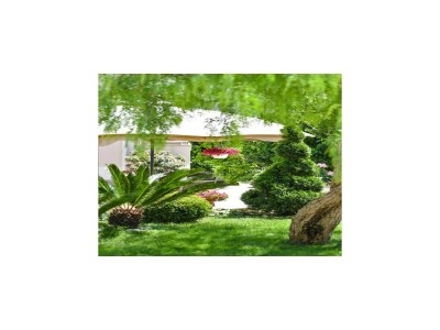 Apartment Villa Calypso Royal Apartment - Outdoor photo 2