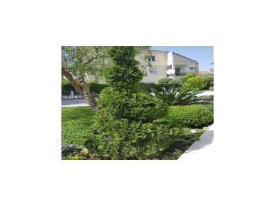 Apartment Villa Calypso Royal Apartment - Outdoor photo 6