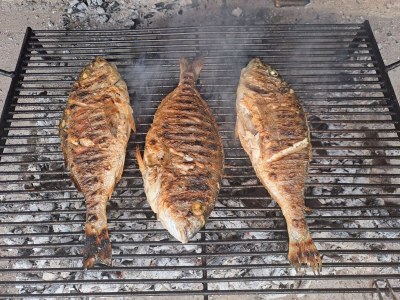 Holiday house Stone House Lola - Two Bedroom Holiday Home - Outdoor photo 48