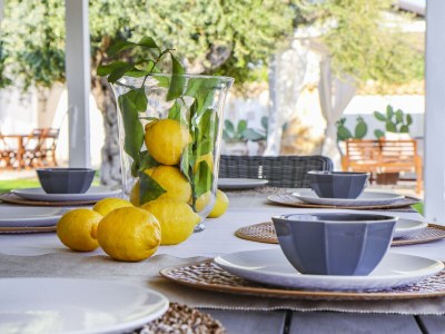 Villa Erika with private pool - Outdoor photo 3