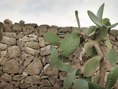 Villa Villa Malena in Noto with pool - Outdoor photo 8