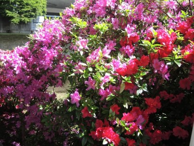 Holiday apartment Bellavista - Outdoor photo 18