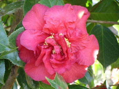 Holiday apartment Bellavista - Outdoor photo 21