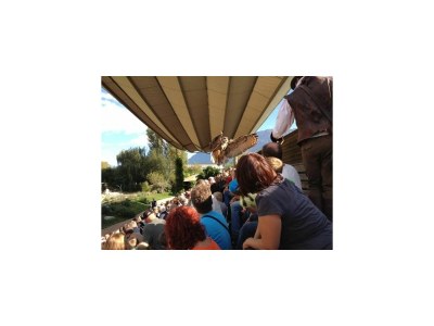 Holiday apartment Bellavista - Outdoor photo 30