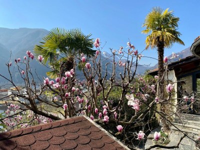 Holiday house Casa Girasol - Outdoor photo 30