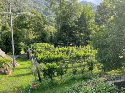 Holiday house Rustico Amorini - Outdoor photo 23