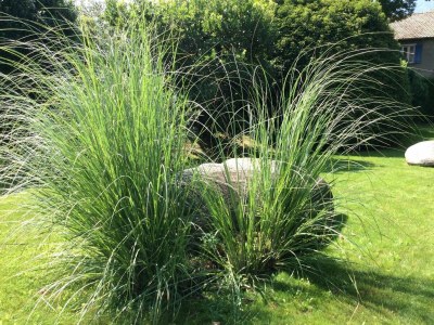 Holiday apartment Residenza Sabrina App. 09 - Outdoor photo 7