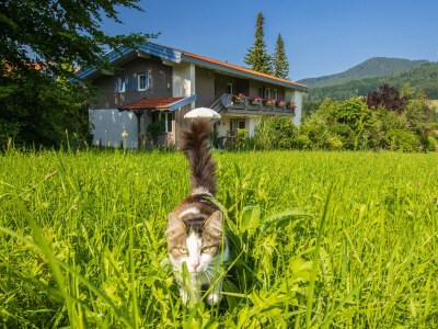 Holiday apartment No title - Outdoor photo 11