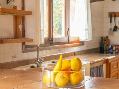 Villa GARRIGA D'ALCUDIOLA - Features photo 28