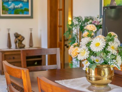 Villa SON SERRA - Features photo 22