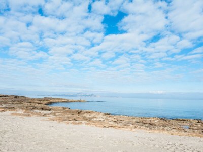 Villa SON SERRA - Environment photo 43