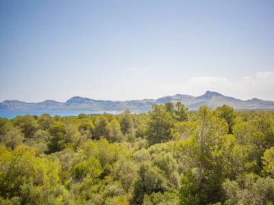 Villa SON SERRA - Environment photo 44