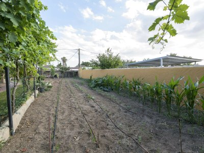 Holiday house RINCON DE LA HUERTA - Environment photo 34