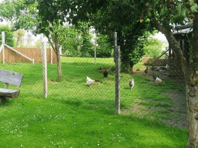 Apartment 5-Bett-Ferienwohnung Dusche/WC, 3 Schlafräume - Outdoor photo 27