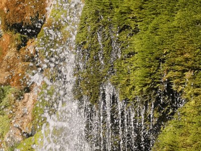 Apartment 5-Bett-Ferienwohnung Dusche/WC, 3 Schlafräume - Outdoor photo 38