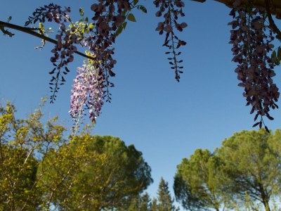 Holiday house LES VALERIANES - Environment photo 25