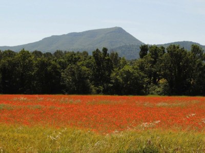 Holiday house LES VALERIANES - Outdoor photo 36