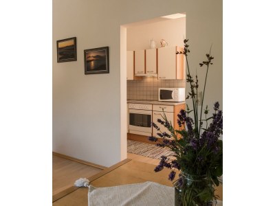 Apartment Ferienwohnung 1 - Outdoor photo 12